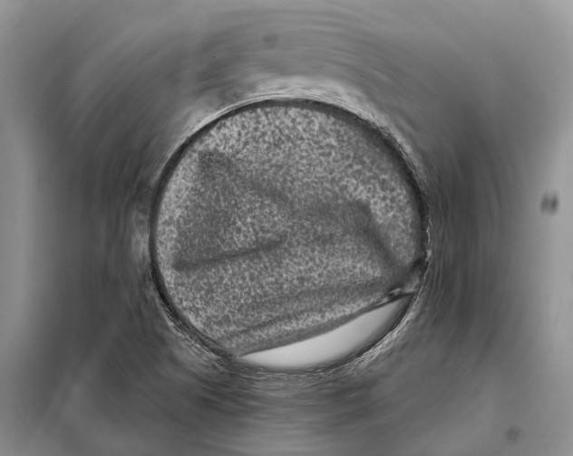 X0000097891505200804111004