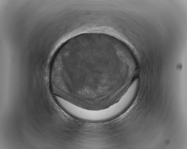 X0000097891506200804111004