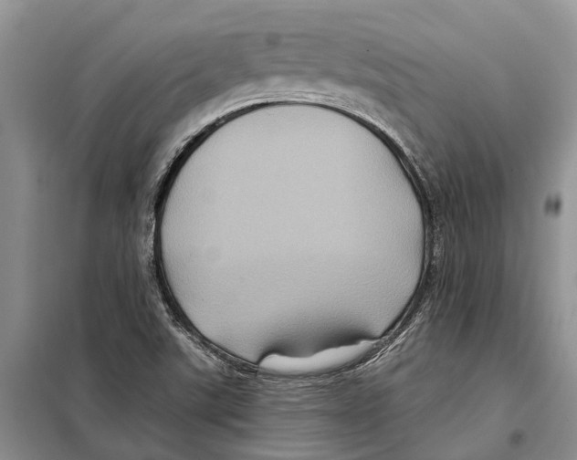 X0000097891507200804111004