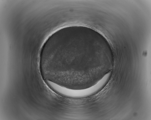 X0000097891508200804111004