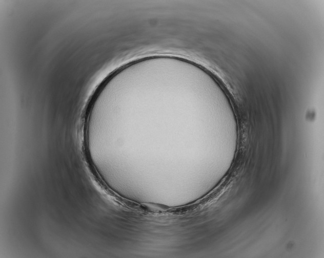 X0000097891511200804111004