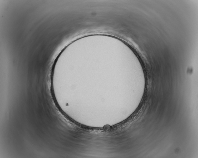 X0000097891512200804111004