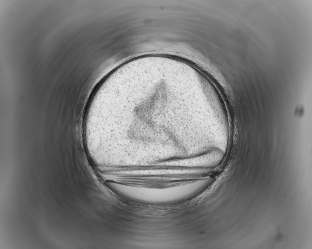 X0000097891513200804111004