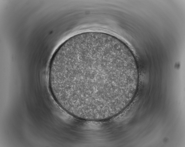 X0000097891514200804111004