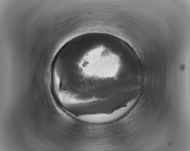 X0000097891515200804111004