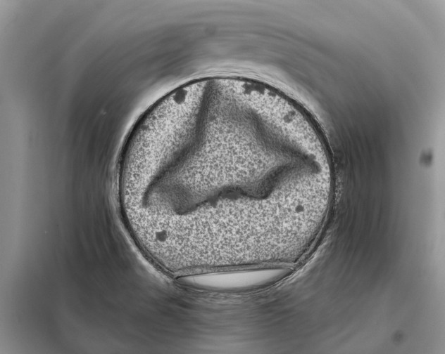 X0000097891517200804111004