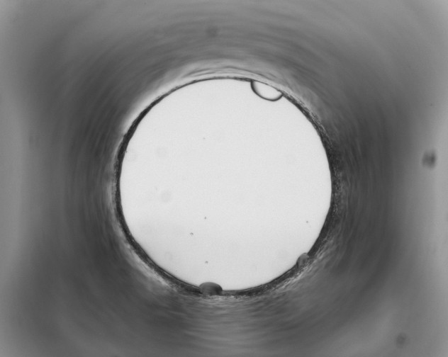 X0000097891518200804111004