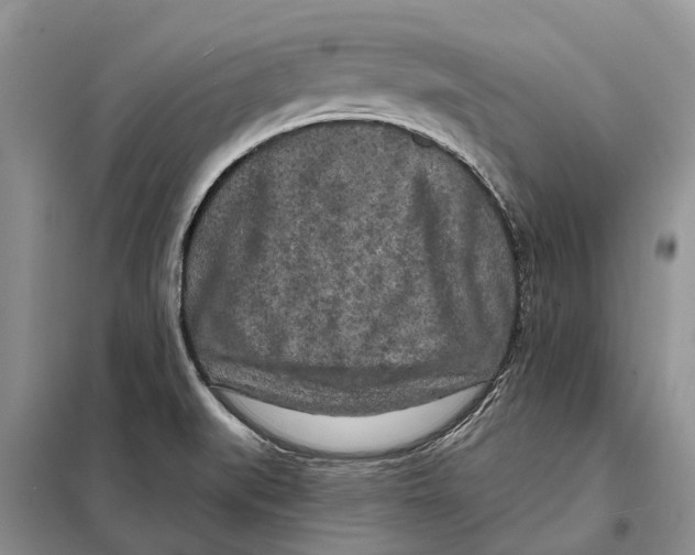 X0000097891519200804111004