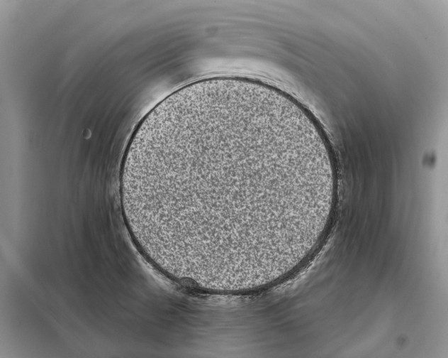 X0000097891521200804111004