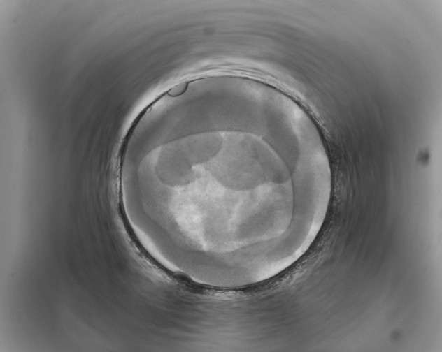 X0000097891522200804111004