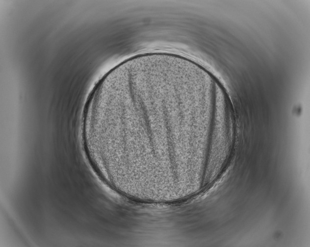 X0000097891525200804111004