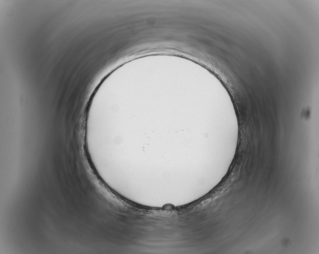 X0000097891526200804111004