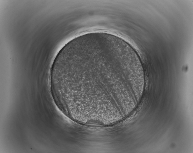 X0000097891527200804111004