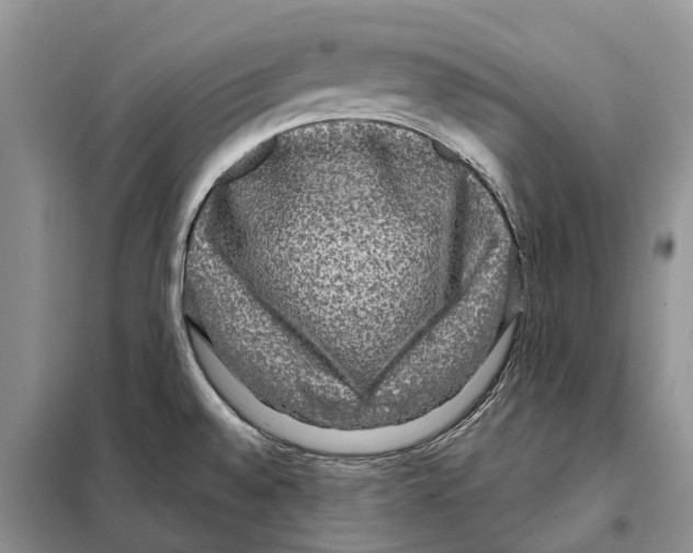 X0000097891528200804111004