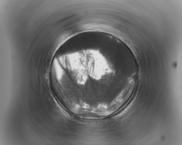 X0000097891529200804111004