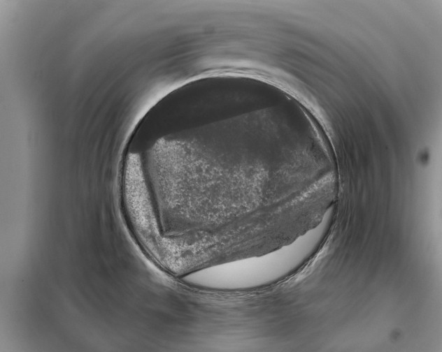 X0000097891533200804111004