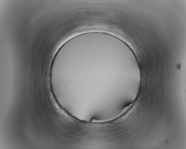 X0000097891534200804111004