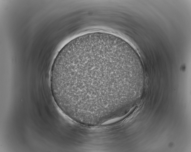 X0000097891535200804111004