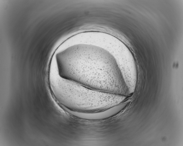 X0000097891536200804111004