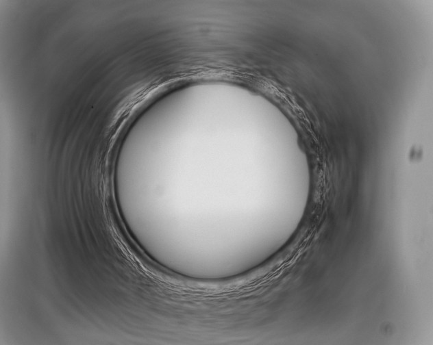 X0000097900002200803141017