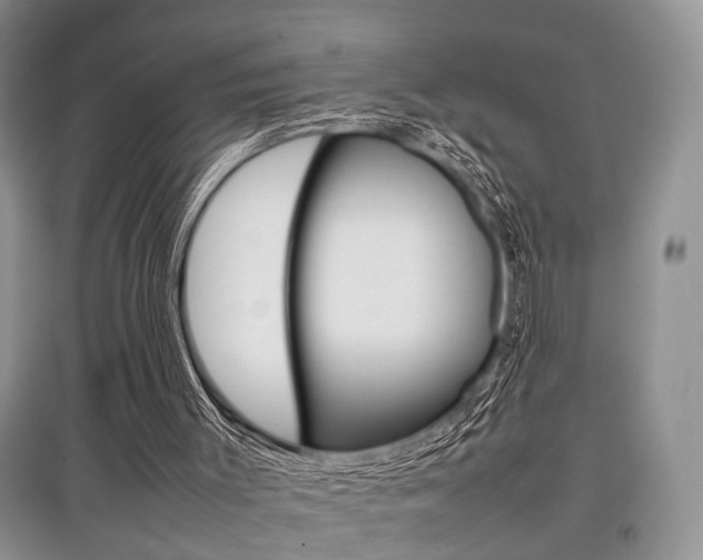 X0000097900003200803141017