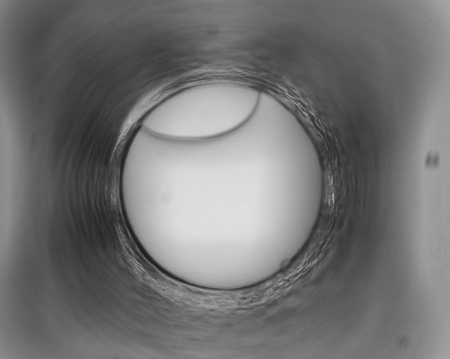 X0000097900004200803141017