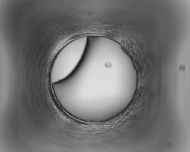X0000097900005200803141017