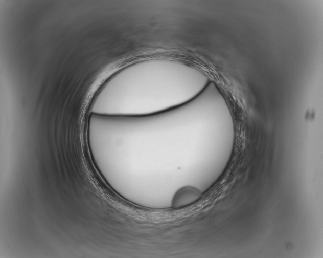 X0000097900006200803141017