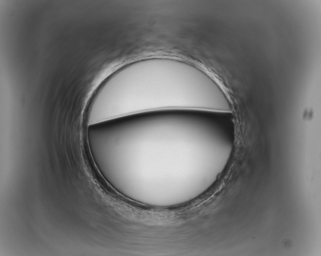 X0000097900008200803141017