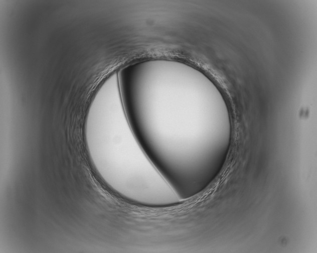 X0000097900009200803141017