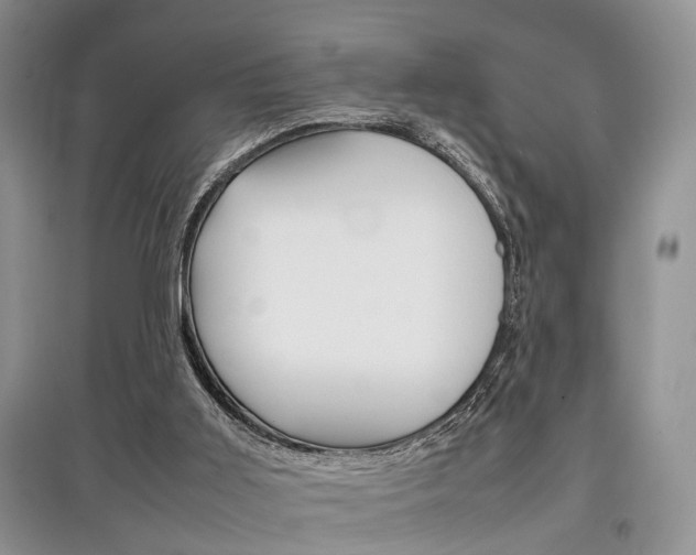 X0000097900011200803141017