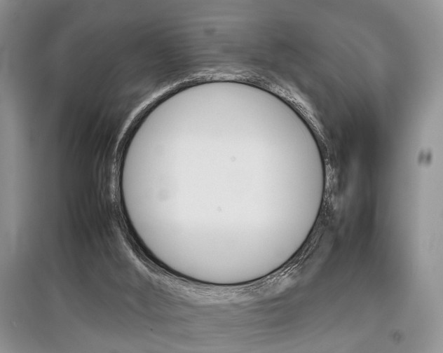 X0000097900012200803141017
