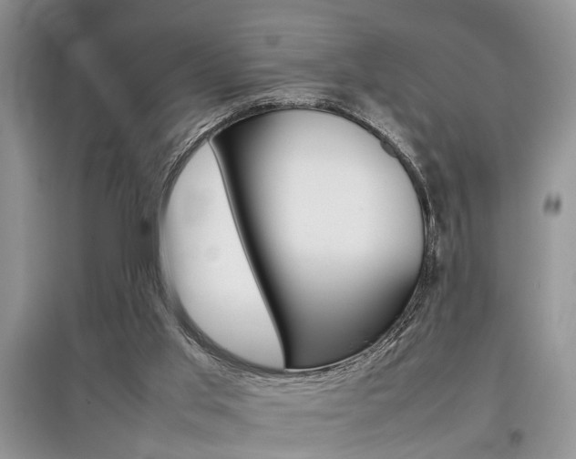 X0000097900013200803141017