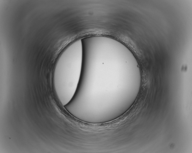 X0000097900014200803141017