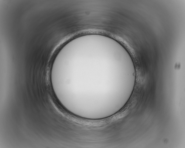 X0000097900016200803141017