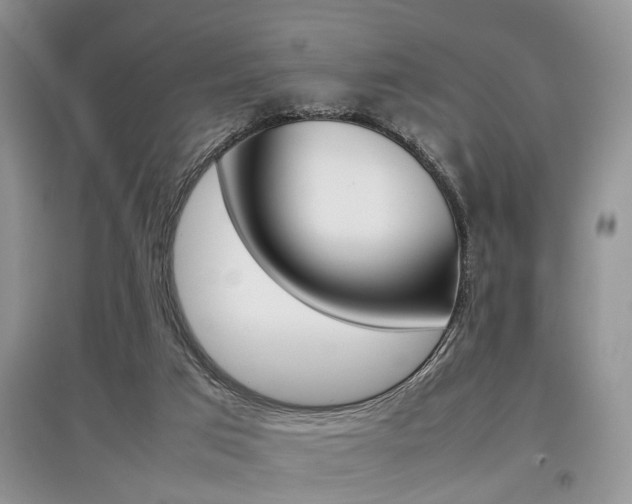 X0000097900017200803141017