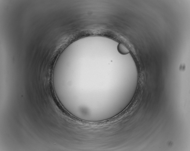 X0000097900018200803141017