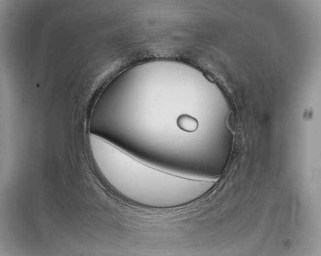 X0000097900019200803141017