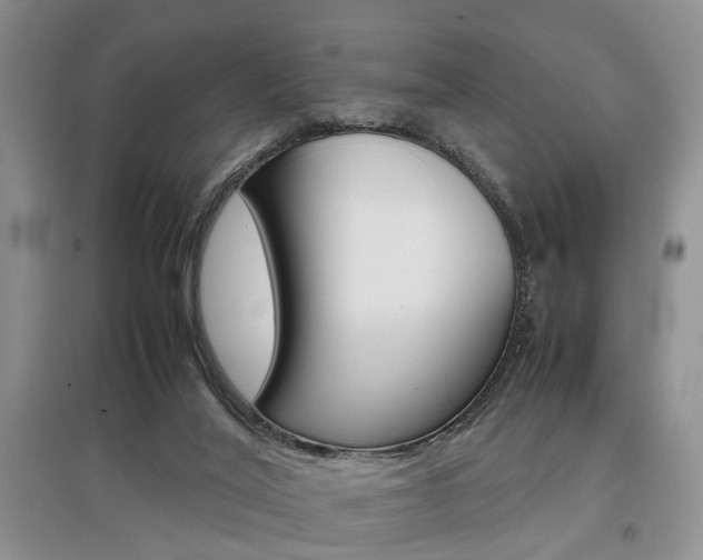 X0000097900020200803141017