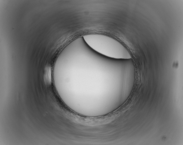 X0000097900022200803141017