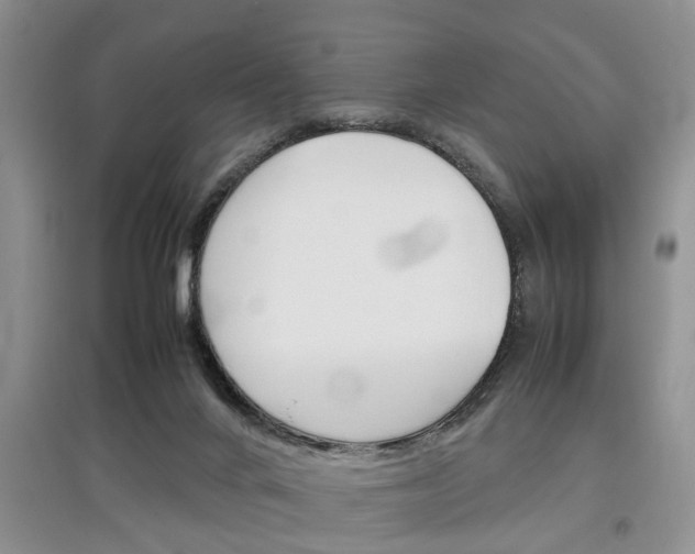 X0000097900024200803141017