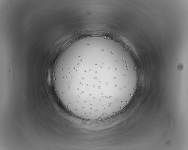 X0000097900026200803141017