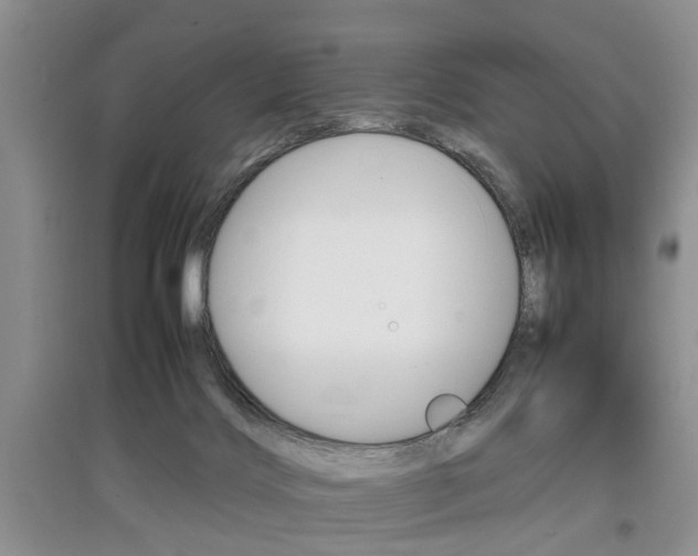 X0000097900028200803141017