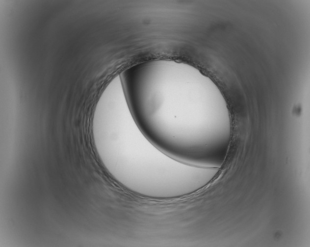 X0000097900029200803141017