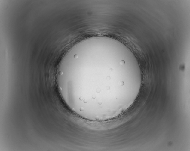 X0000097900030200803141017