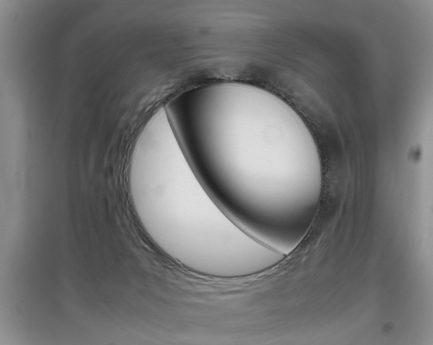 X0000097900031200803141017