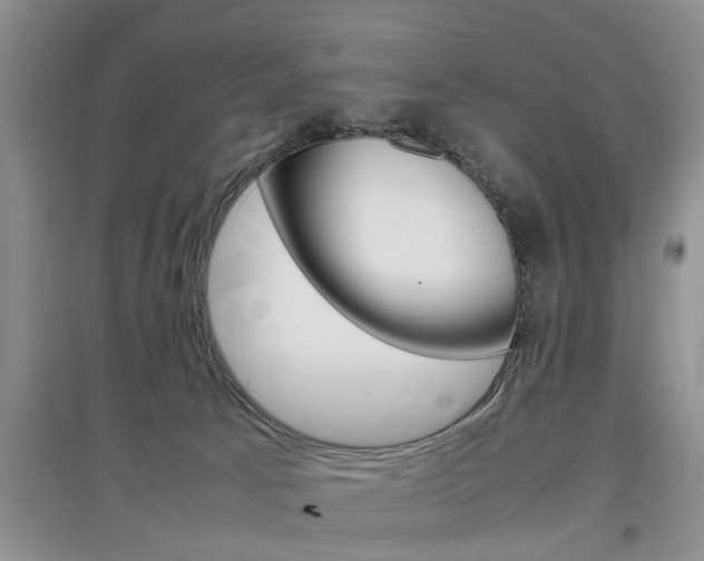 X0000097900033200803141017