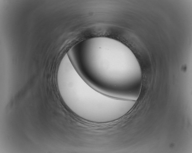X0000097900035200803141017