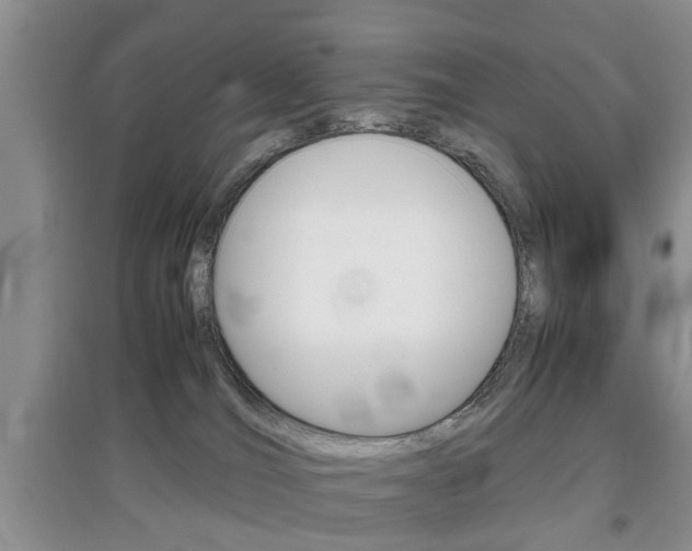 X0000097900036200803141017