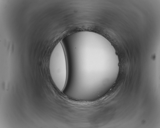 X0000097900040200803141017